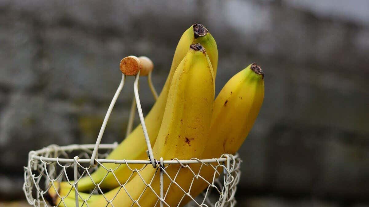 Plátanos.