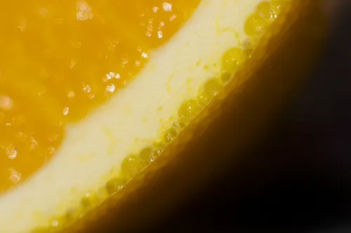 orange extatique. eaux aromatisées