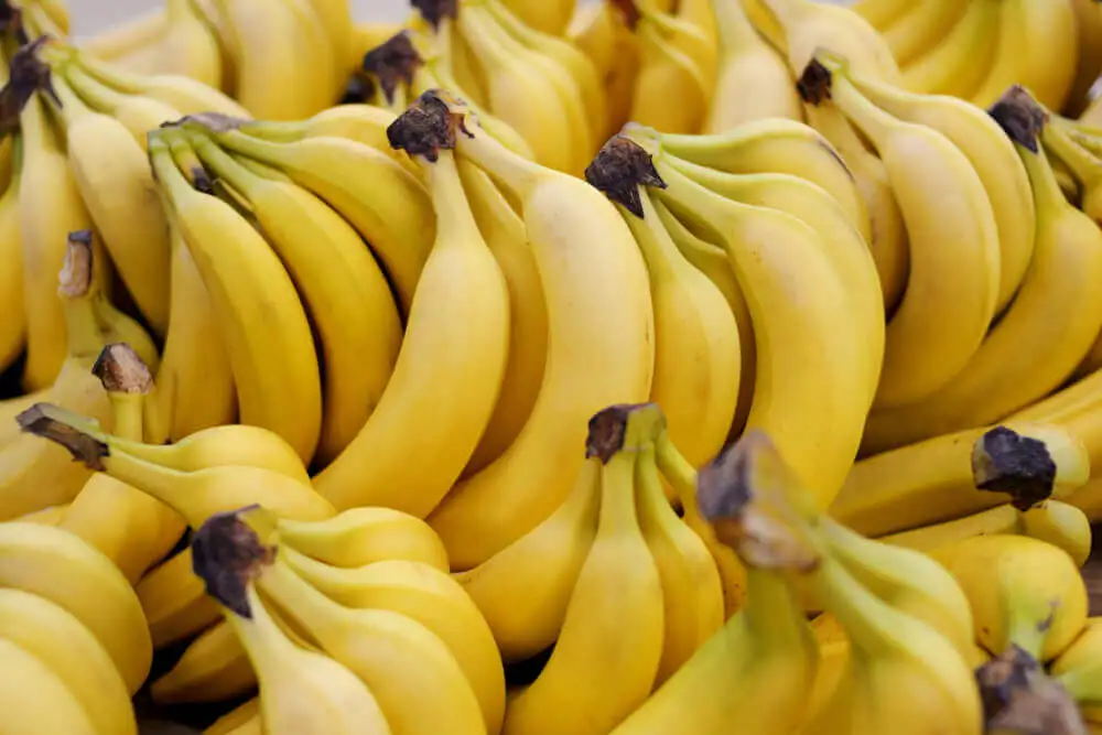 Plátanos ou bananas.