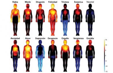 Los efectos de las emociones y pensamientos negativos en nuestro cuerpo