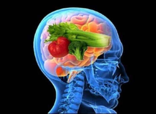 Diferencias entre alimentación y nutrición