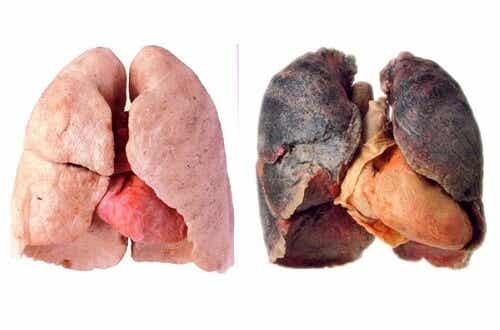 Tips para tener unos pulmones más limpios