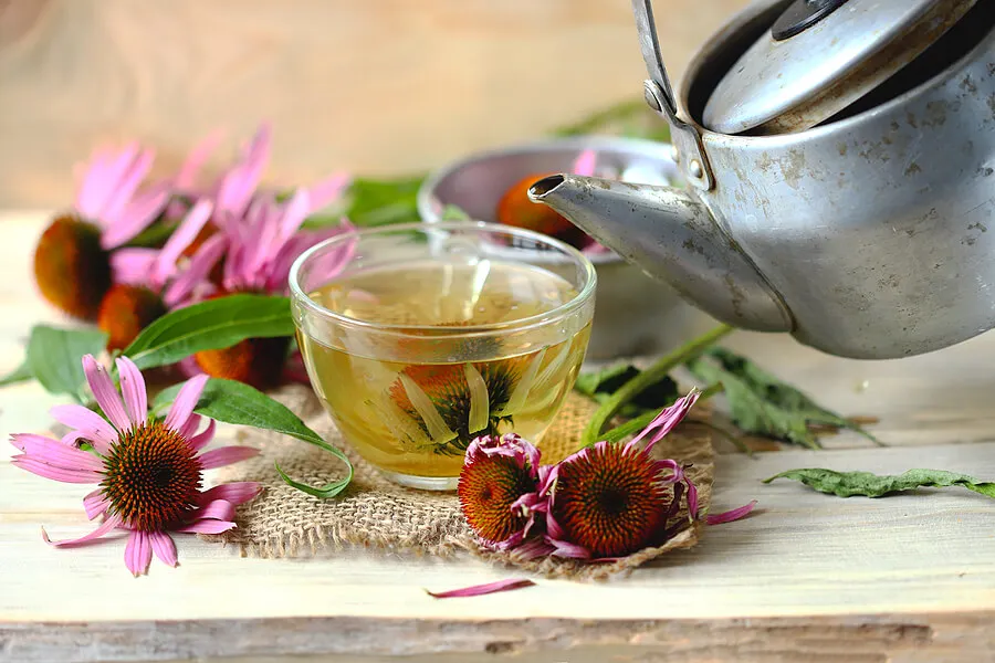 Infusión de equinácea.