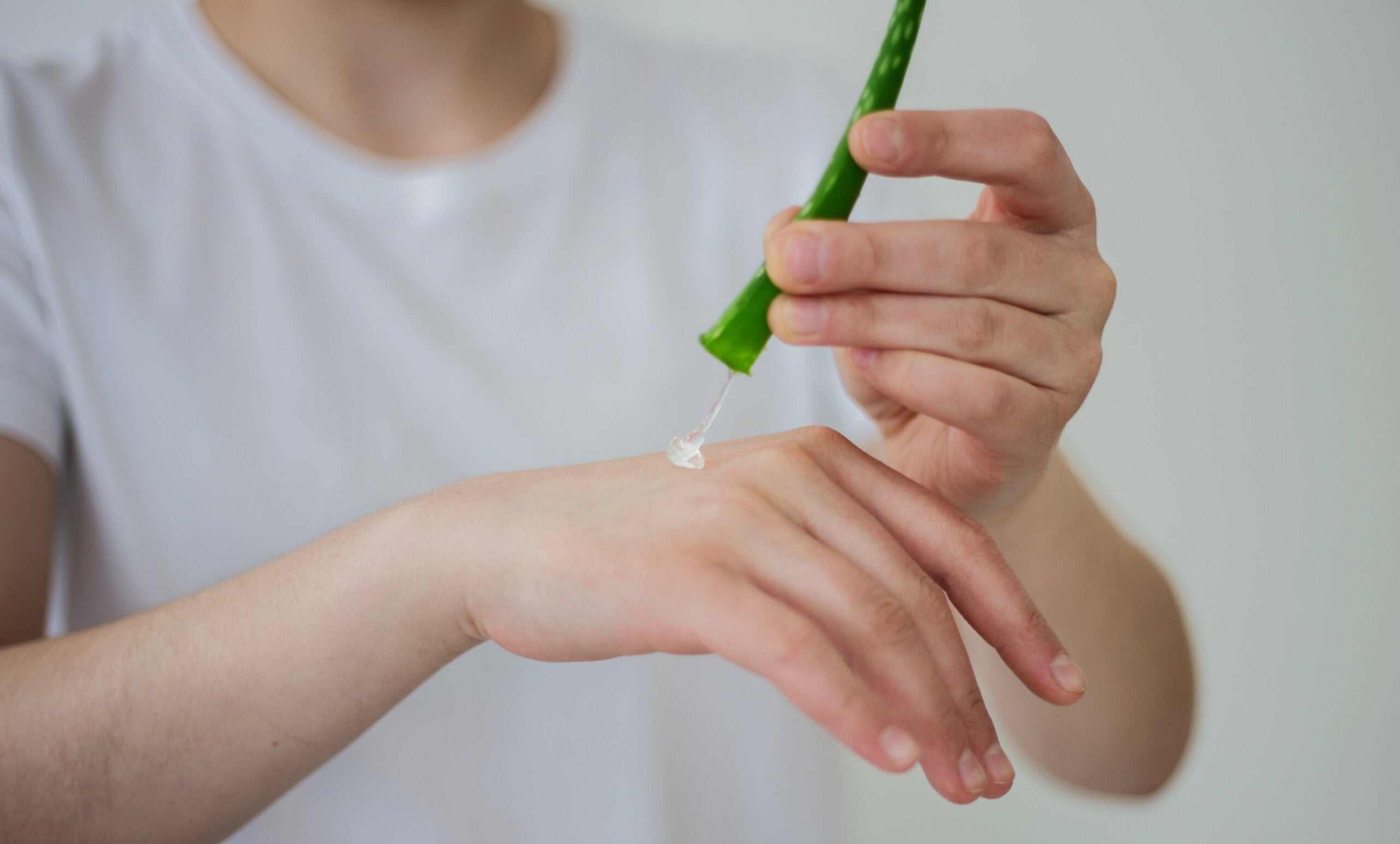 Cura delle ferite con l'aloe vera, una delle piante cosmetiche per il giardino.