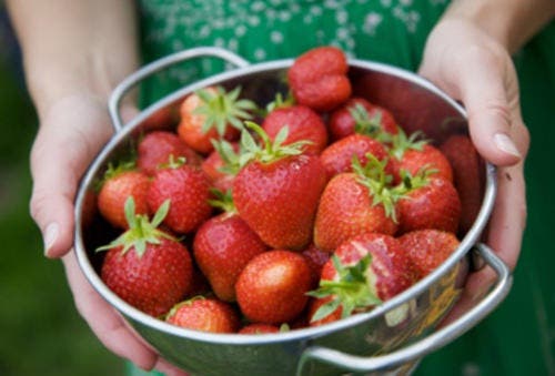 panqué fresas con nueces