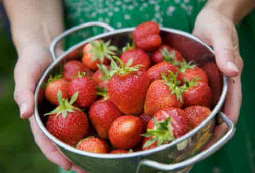 7 increíbles beneficios de las fresas para el cuidado de la piel