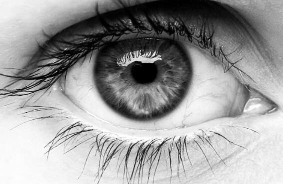Maravillosas curiosidades sobre los ojos: ¿Las conocías?
