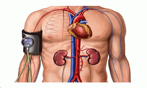 Reducir la presión arterial sin medicamentos
