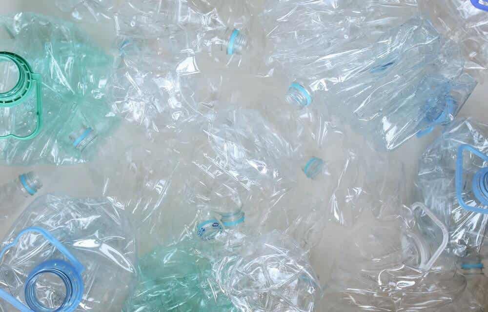 일회용 플라스틱 생태계 위협