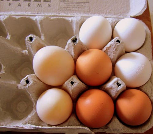 huevos ami ross