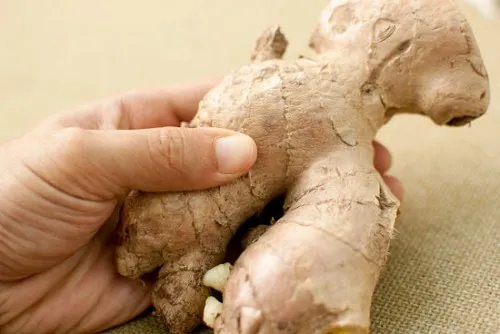 La raíz de jengibre favorece la absorción de nutrientes.