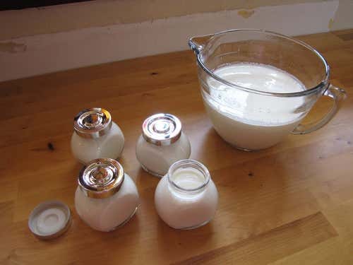yogur para la flora intestinal