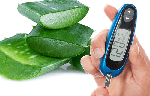 7 Razones Para Utilizar Aloe Vera Para Tratar La Diabetes Mejor Con Salud