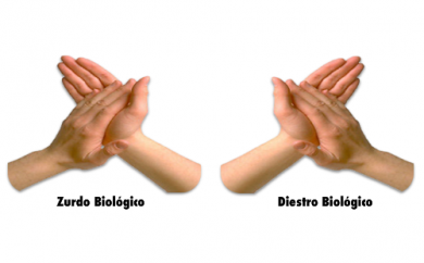 ¿Eres diestro o zurdo? Esto es lo que significa tu lateralidad dominante