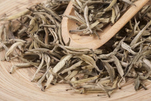 Descubre las 2 mejores infusiones naturales ricas en magnesio