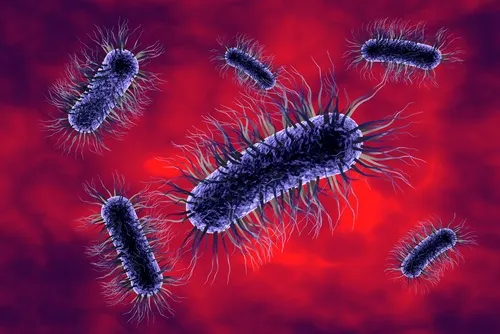 bacterias-que-causan-enfermedades