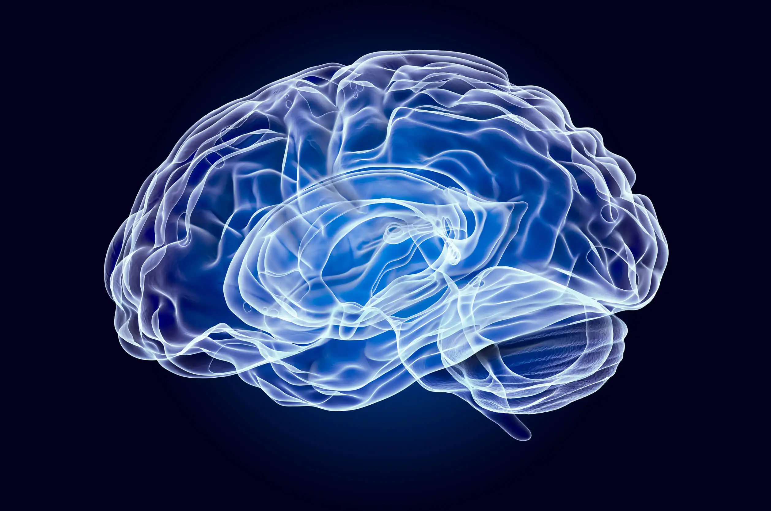 Cerebro que trabaja mientras dormimos.