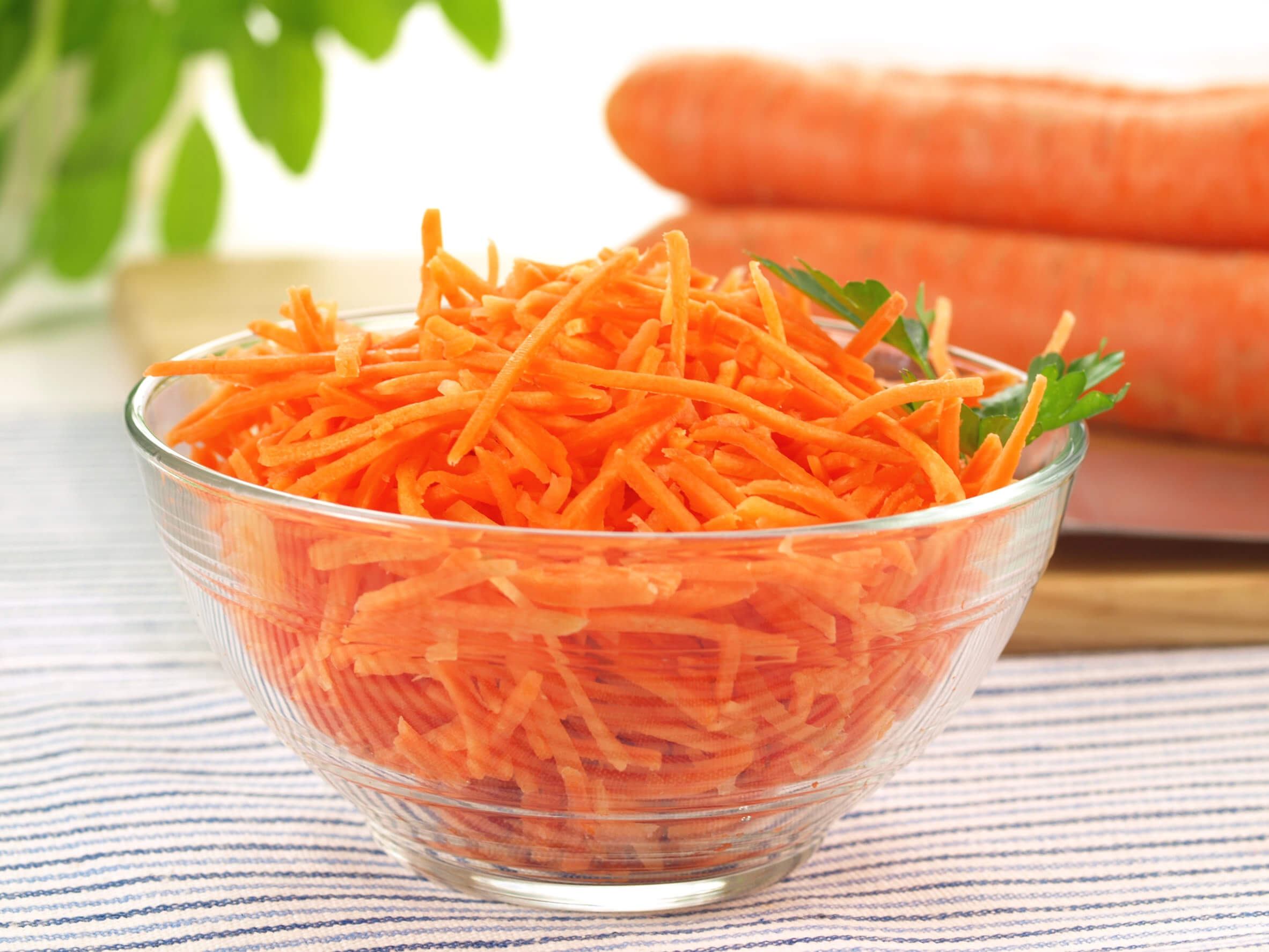 Emplastos de zanahoria