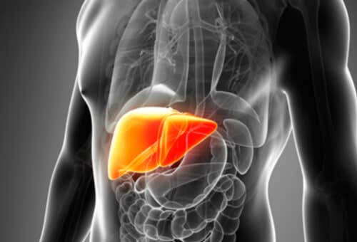 7 razones para desintoxicar el hígado y cómo hacerlo