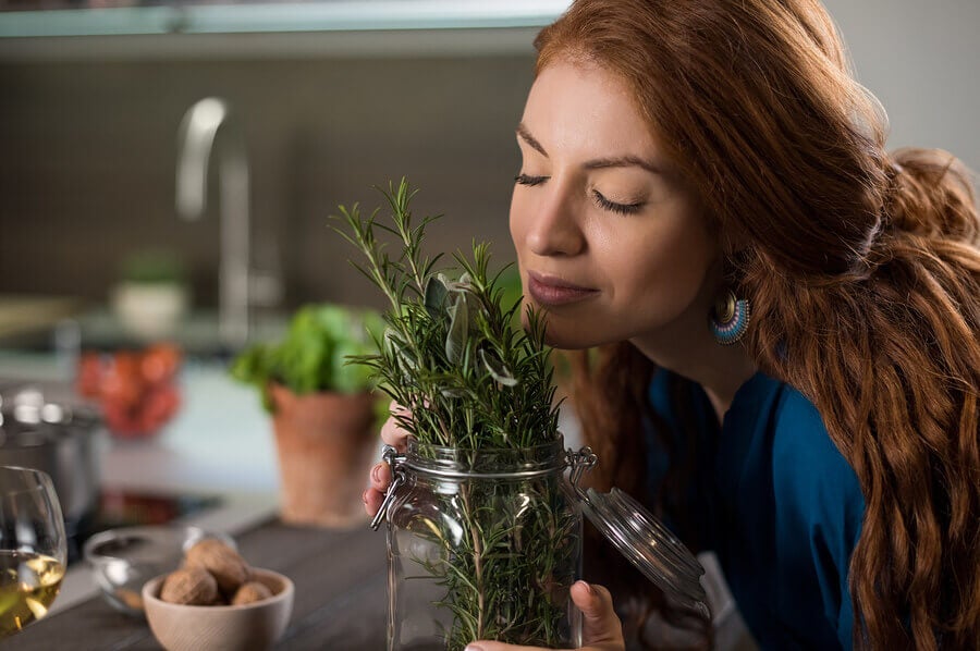 Rosmarino, una pianta aromatica.