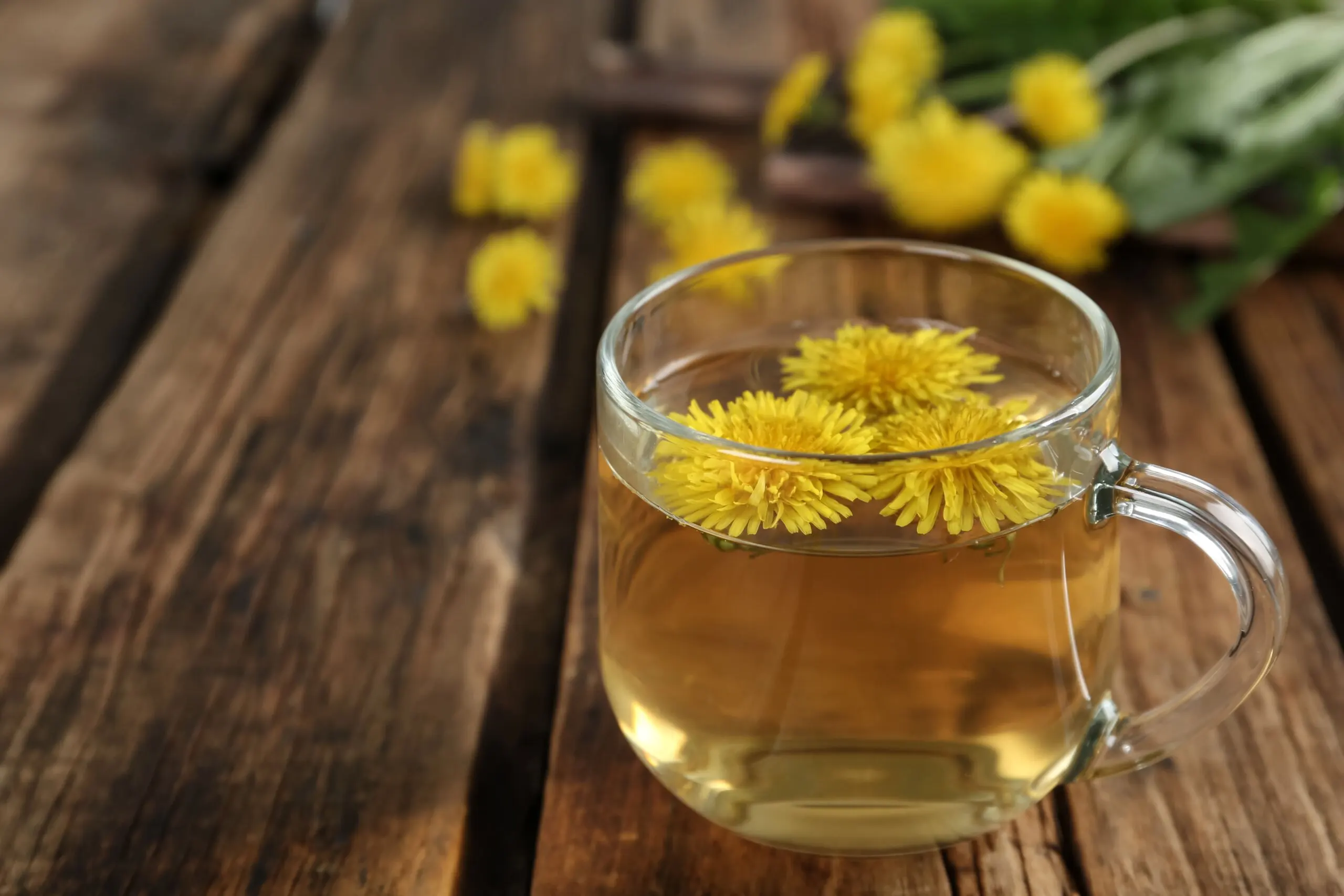 Té de diente de león