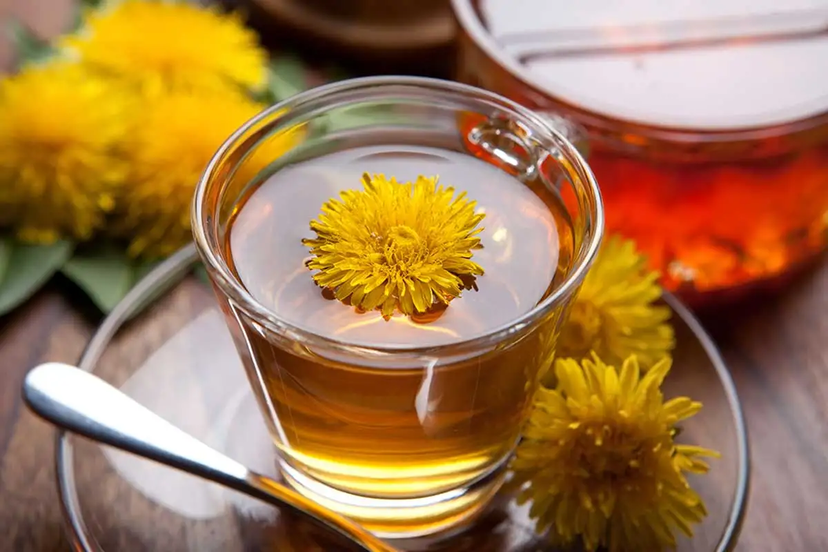 Infusión de diente de león.