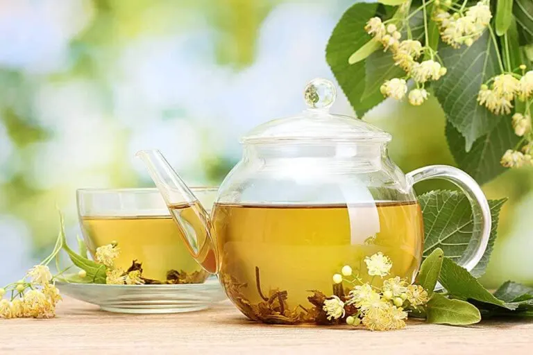 3 infusiones medicinales para fortalecer y limpiar venas y arterias