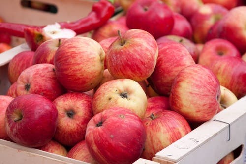 Las golden son la mejor opción para tu bizcocho de manzana.