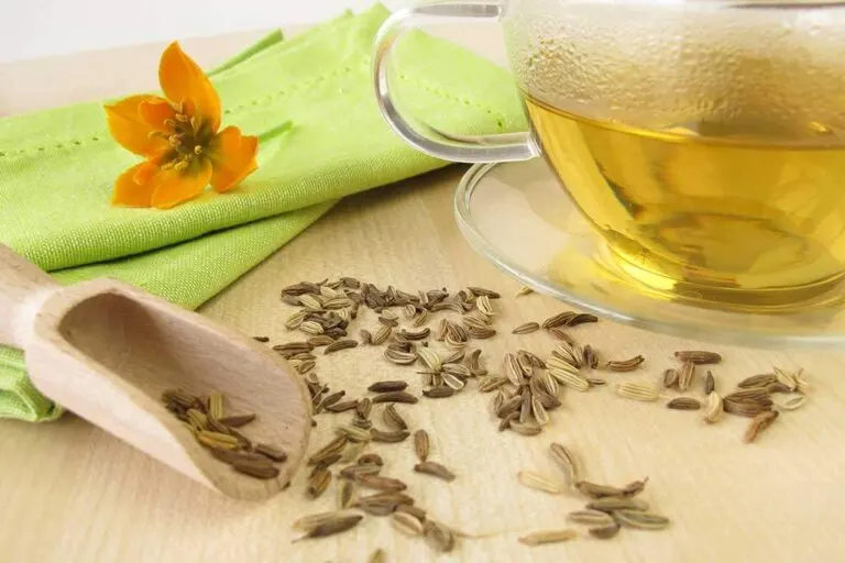 Receta de té de hinojo para desinflamar el vientre