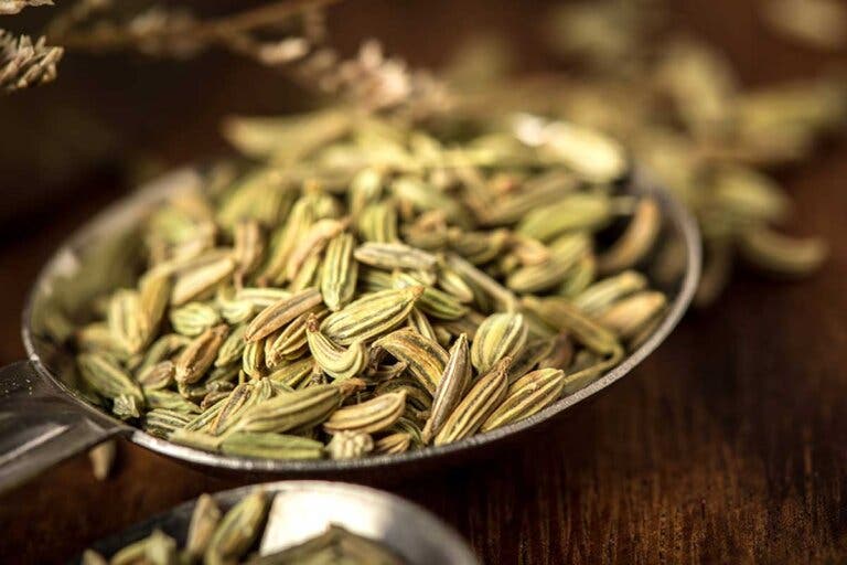 Semillas de hinojo: beneficios y remedios naturales