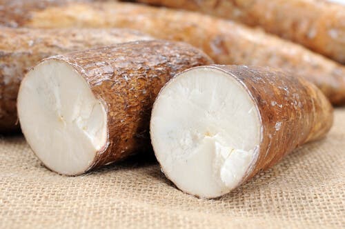 Yuca.
