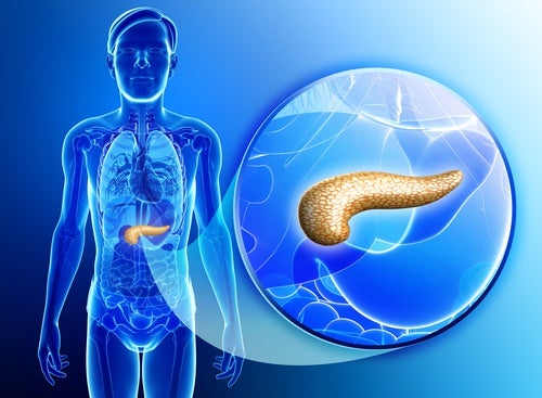 Consejos-para-cuidar-la-salud-del-pancreas