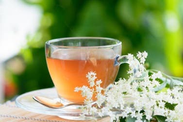 Las 4 mejores plantas diuréticas