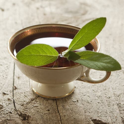 Infusión de salvia para tratar los síntomas de la menopausia