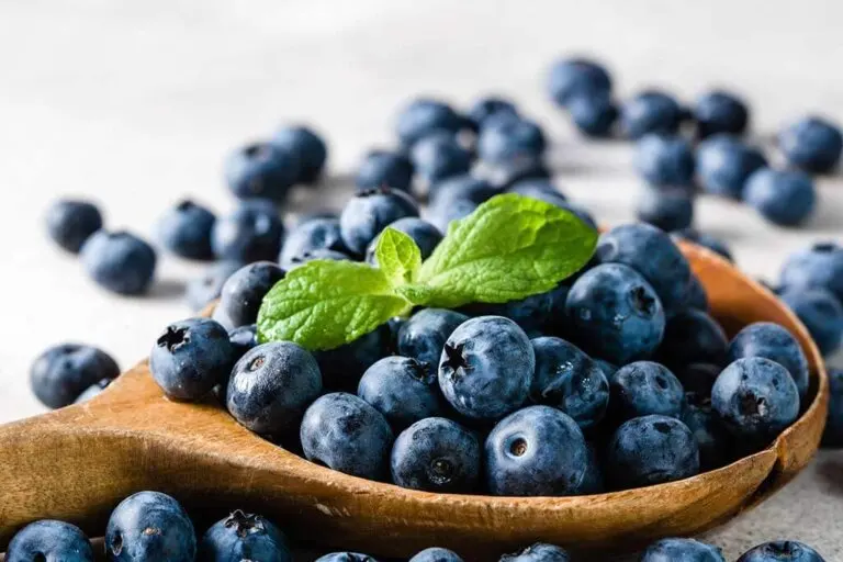 10 alimentos antiinflamatorios que deberías incluir en la dieta habitual
