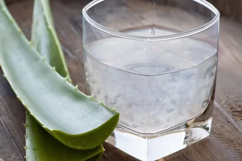 Licuado de aloe vera para adelgazar.