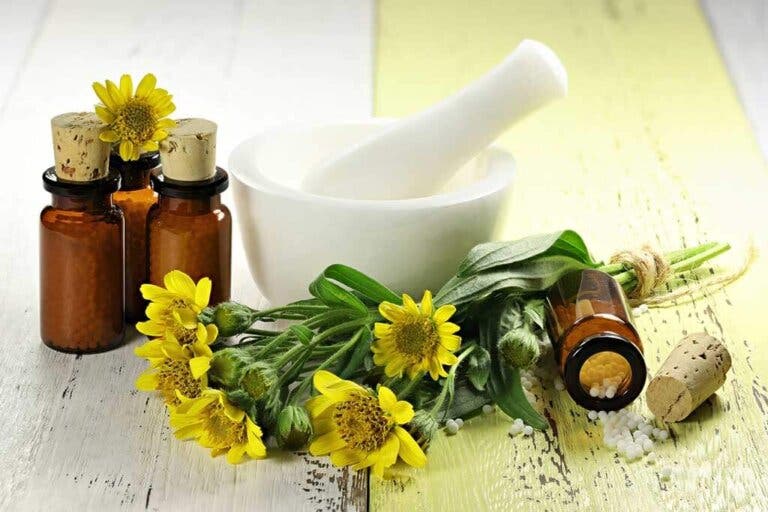 4 plantas para aliviar el dolor de forma natural: ¡Muy efectivas!