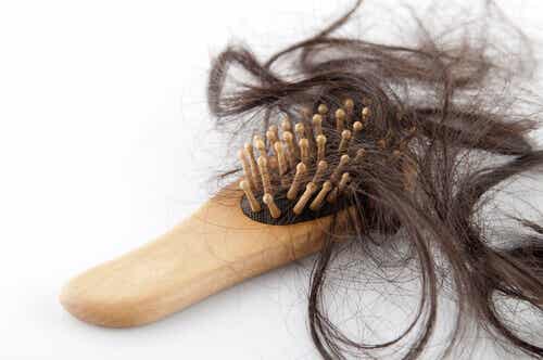 4 remedios naturales para la caída del cabello