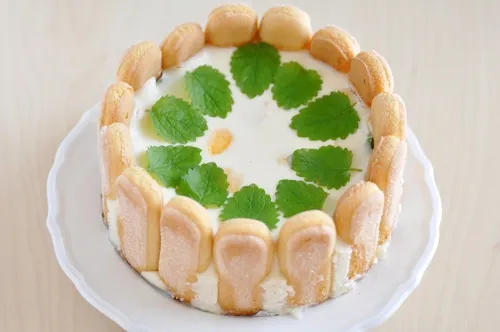 tiramisu limon