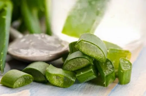 Aloe-vera