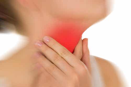 Los 5 mejores nutrientes para la salud de la tiroides