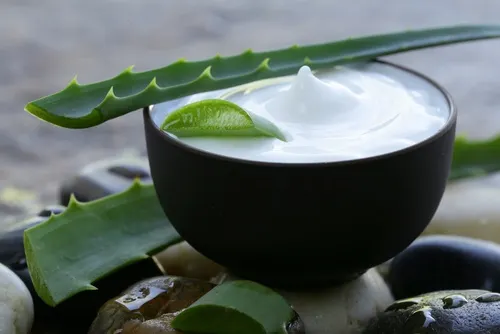 Crema de aloe