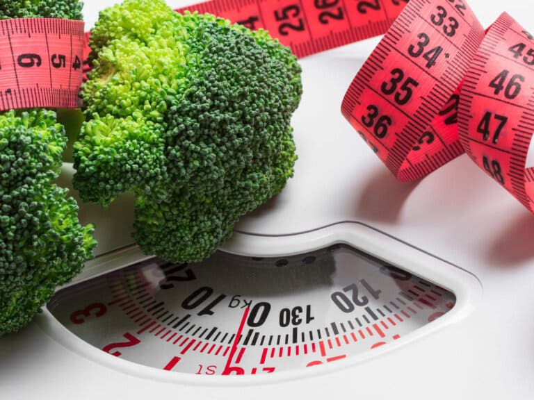 Adelgazar controlando las cantidades de comida