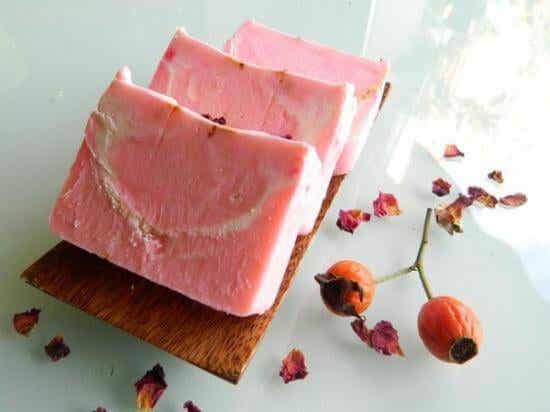 Prepara jabón de rosa mosqueta y aloe vera para la regeneración de la piel