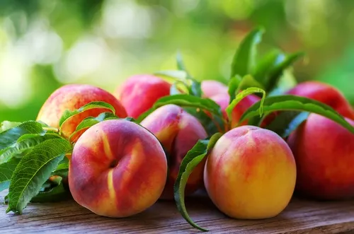 Frutos del bosque