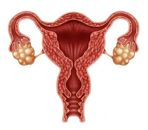 Descubre las 6 hormonas que intervienen en el ciclo de ovulación