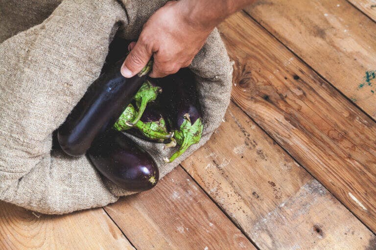 La berenjena: ligera, curativa y muy adecuada para tu digestión