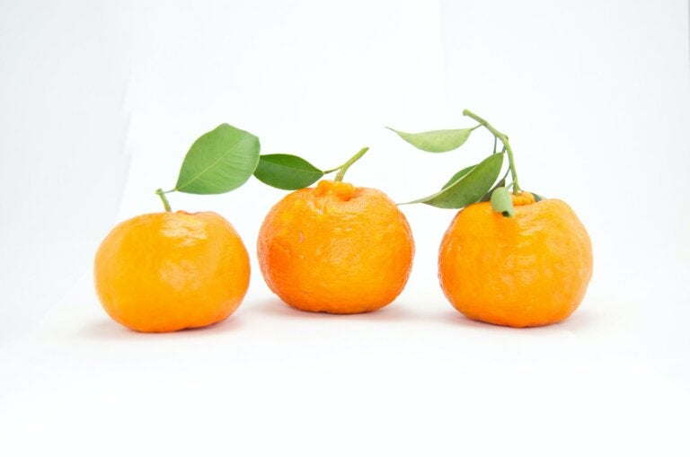 Descubre la cura de las naranjas