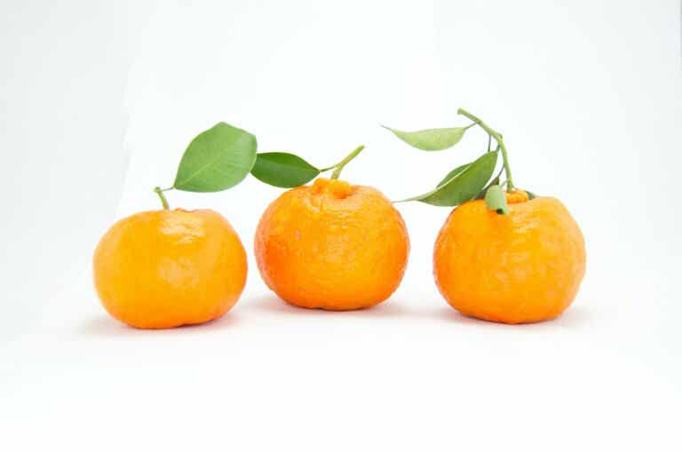Descubre la cura de las naranjas