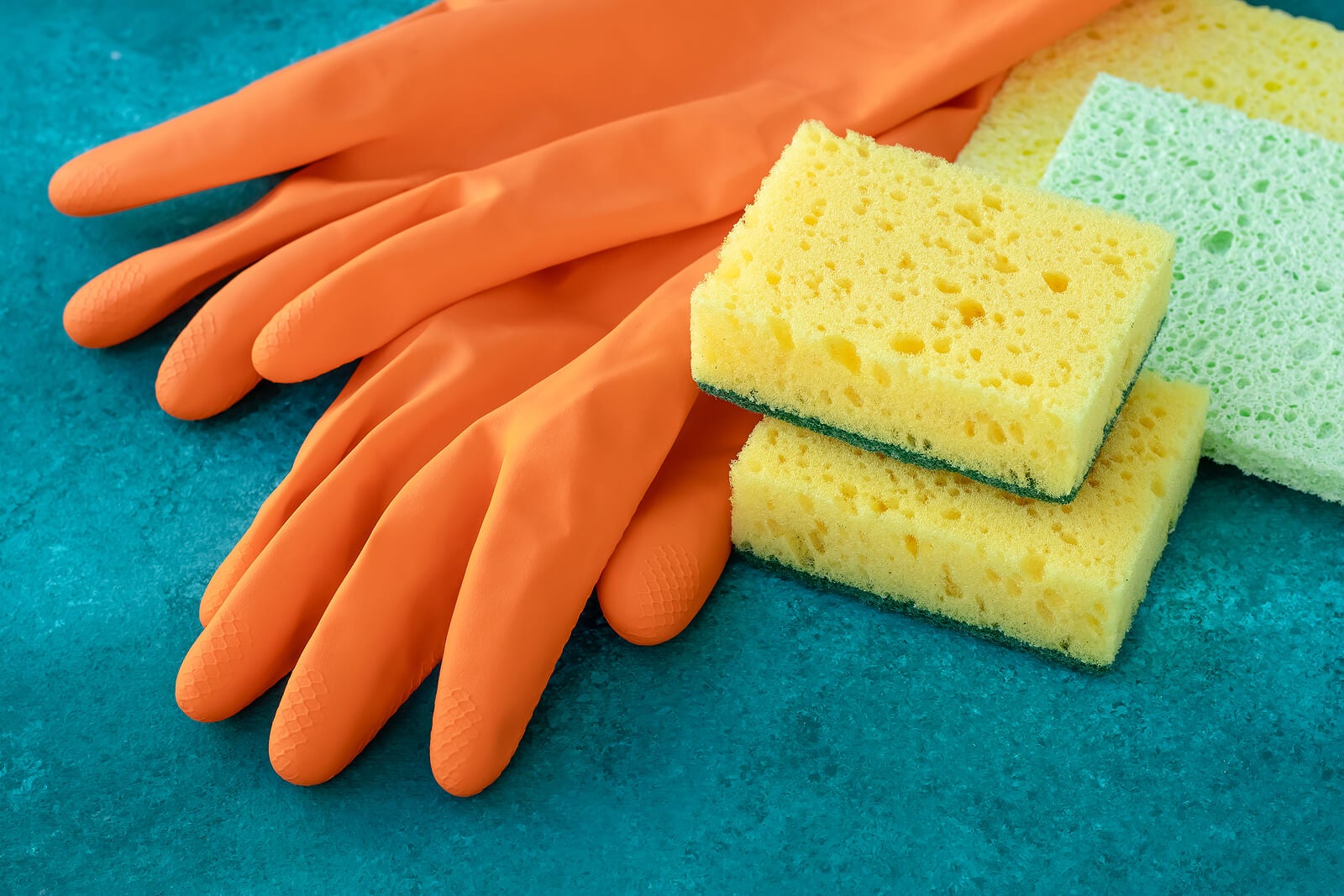 ¿Sabías que las esponjas para lavar platos son una de las mayores fuentes de bacterias?
